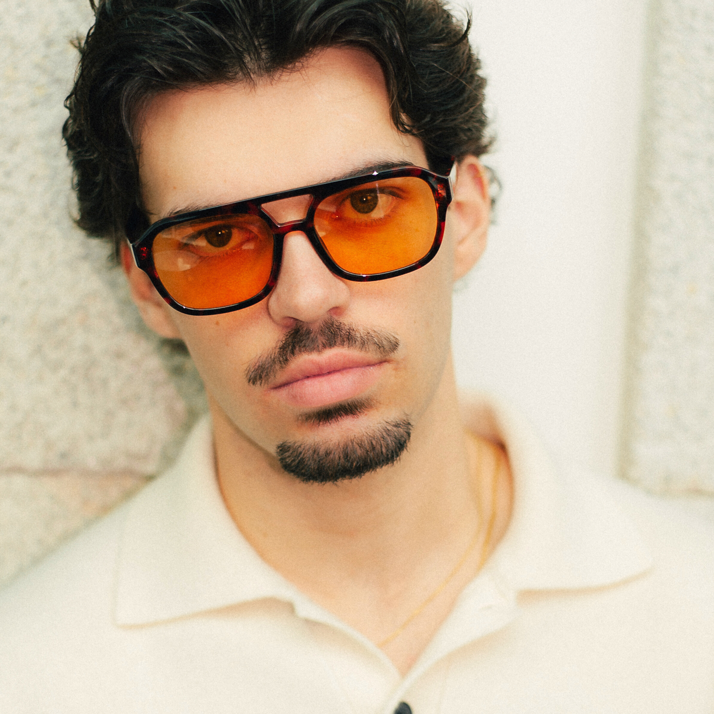 FRANK / SKILDPADDEGUL